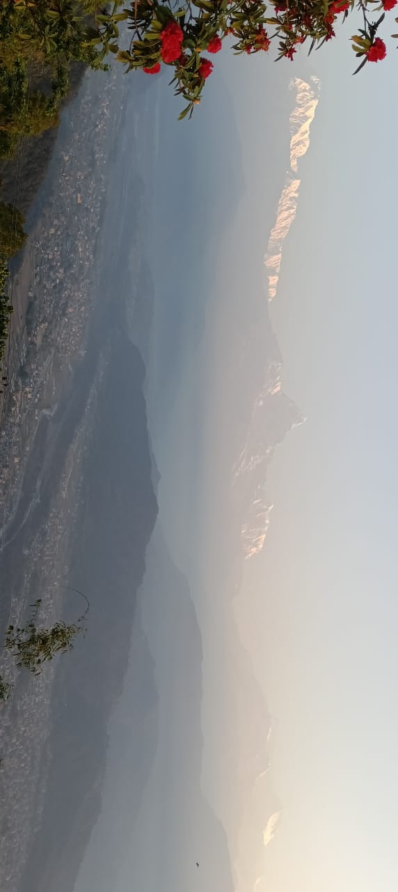Photo 67